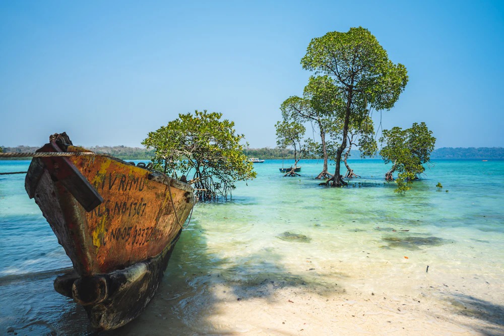 Andaman Tour Package