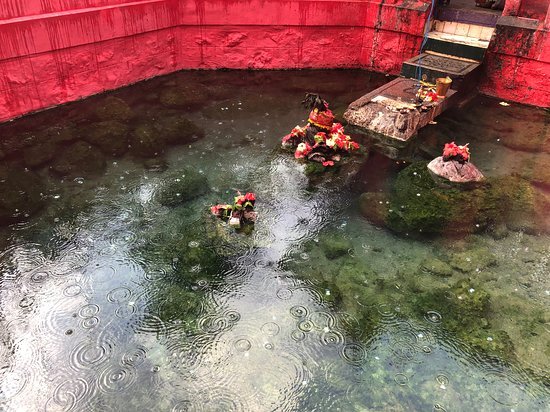 Flower offerings in the sacred hot spring pool at Taptapani
